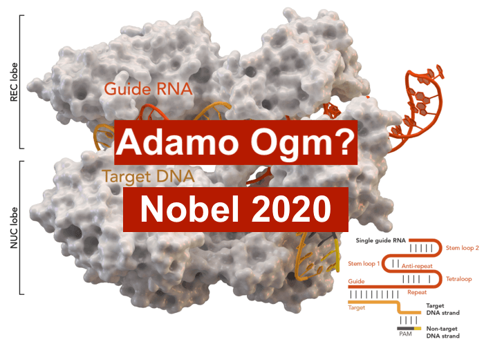 Il Nuovo Adamo: Premio Nobel 2020. Speranze e Grandi rischi.